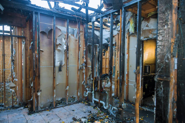 Professional Odor Removal technician working in Roosevelt, NY